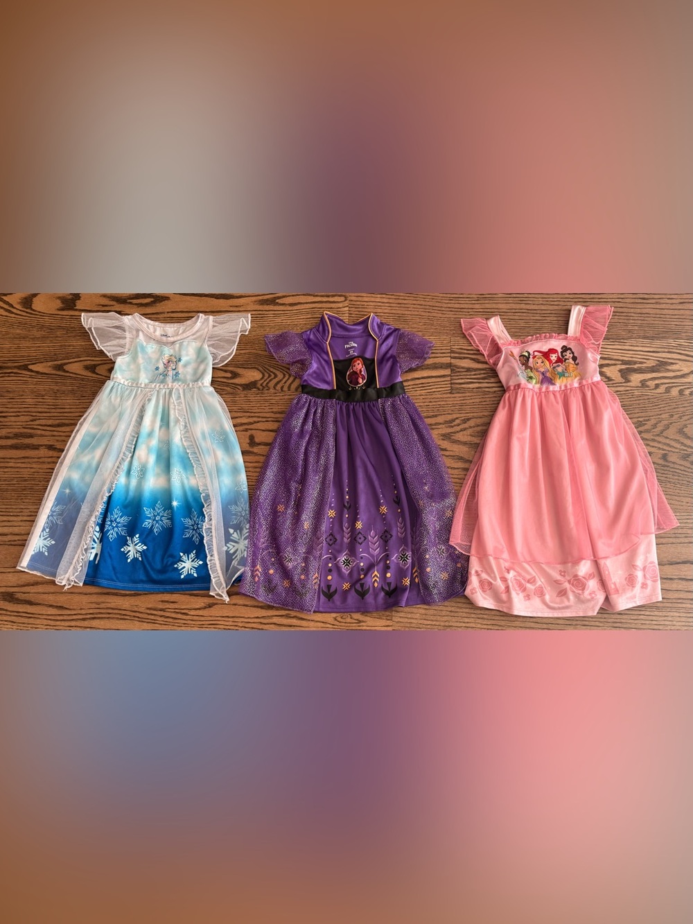Disney Princess Dresses